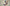 The Most Precious Metals for Your Health: A Guide to Essential Minerals