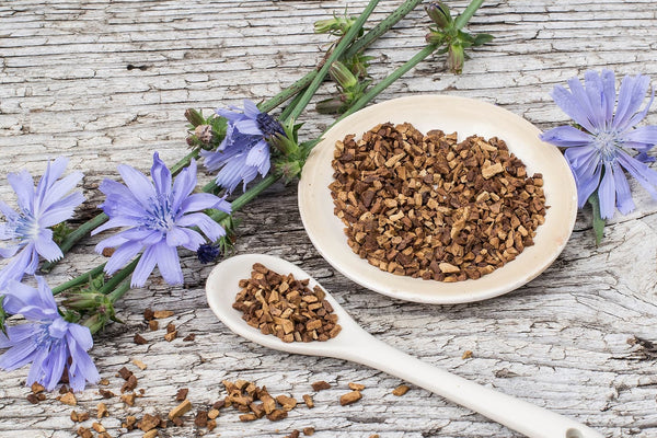 Health Benefits Of Chicory Root