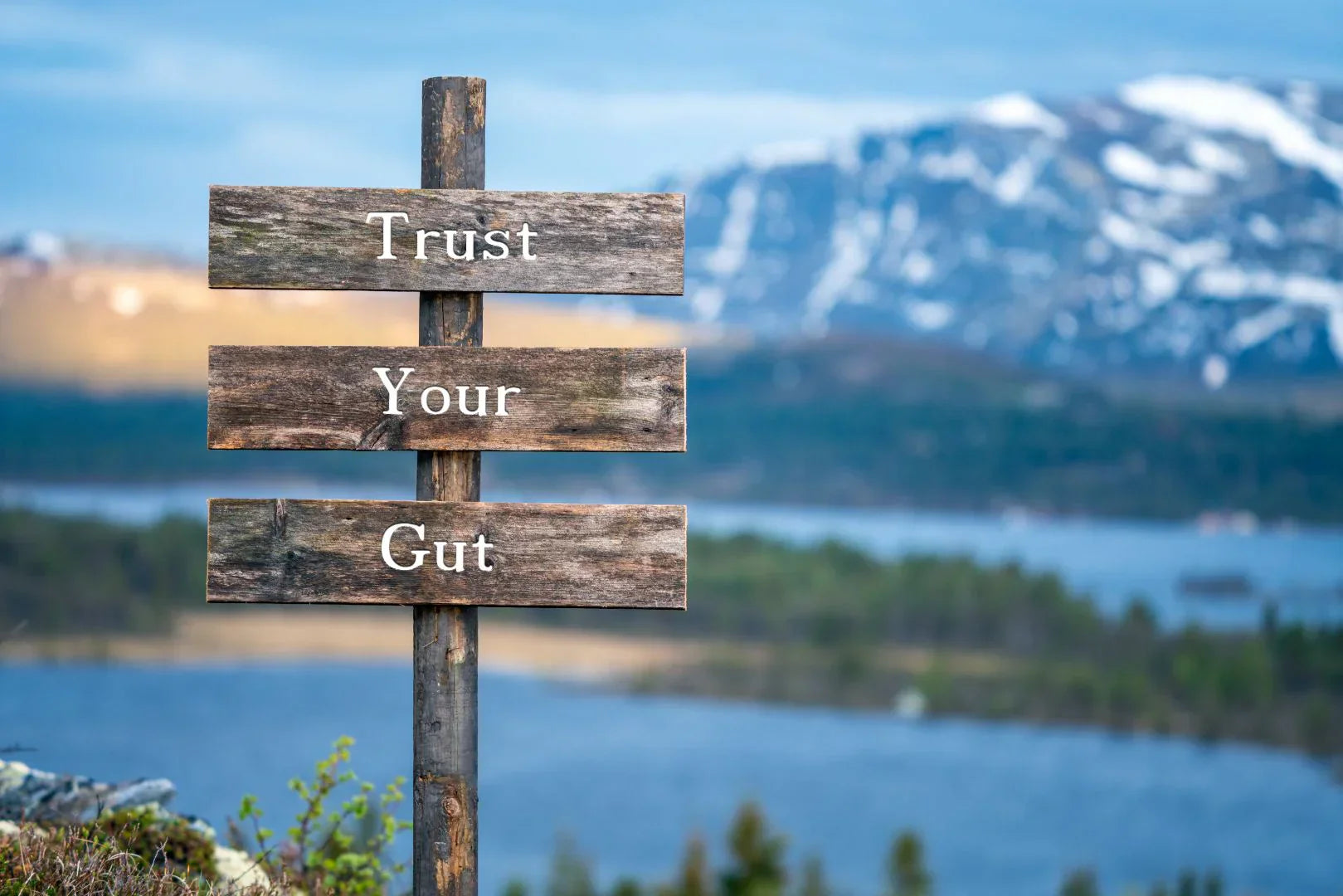 Why Your “Gut Feeling” Might Be Smarter Than You Think