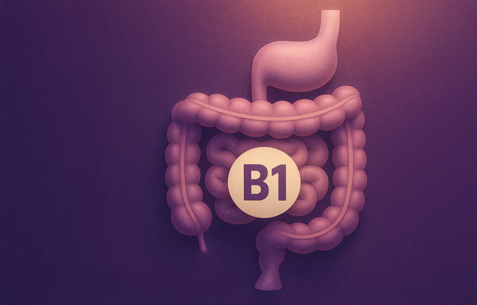 Is Your Gut Missing B1? The Overlooked Link Between Thiamine and Digestive Health